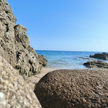 La Suite Appartement Pleine Vue Mer Concarneau Exteriör bild